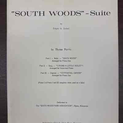 Oversize M6.Z9 (South woods)