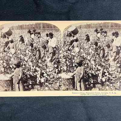 Stereoscopic Photograph