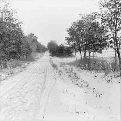 Glass Negative