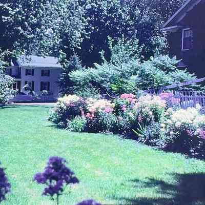Mrs. George Graf's Garden