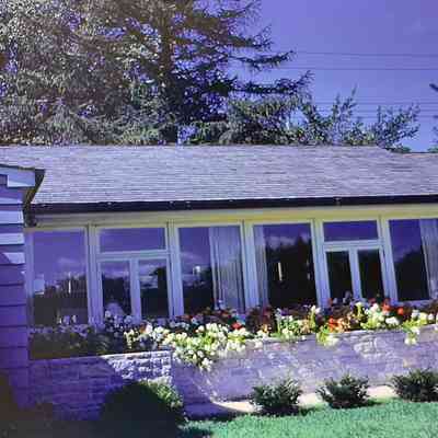Mrs. Eckstein's Window Boxes 1950