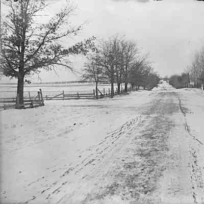 Glass Negative