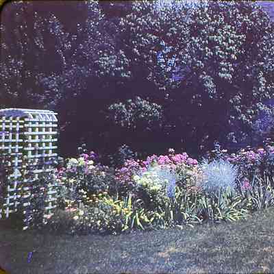 Mrs. George Graf's Border