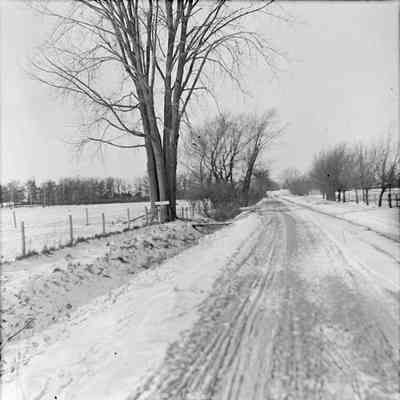 Glass Negative