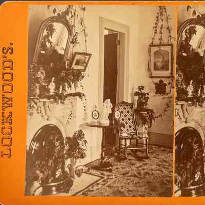 Stereograph, Lockwood