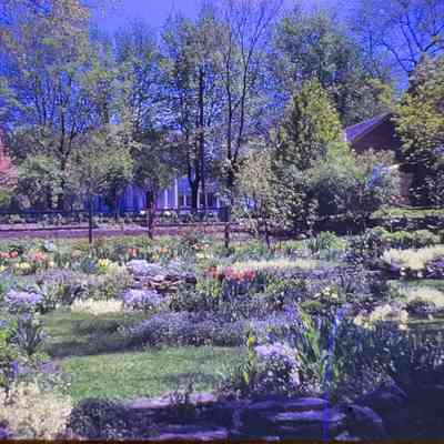 Viola Kurth's Spring Garden 1946
