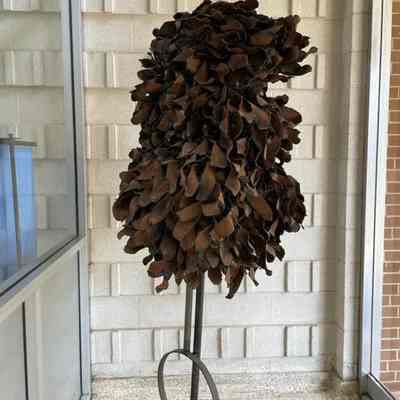 Pregnant Tree