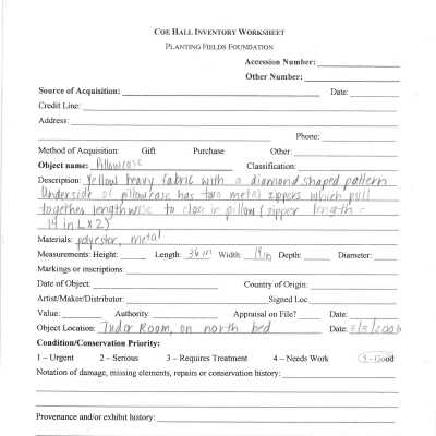 previous inventory worksheet for Tudor room pillowcase (2)