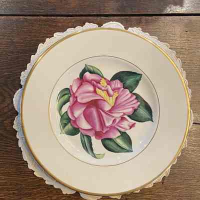 Camellia Dinner Plate
