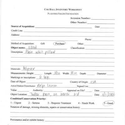 previous inventory worksheet for Tudor room pillow (2)