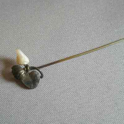 Pin