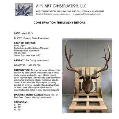 Final Treatment Report, July 2025