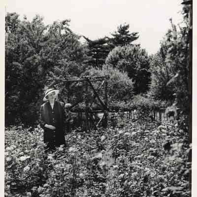 Coe_Caroline_010: Caroline Coe in rose garden at Planting Fields