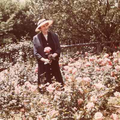Coe_Caroline_012: Caroline Coe among the roses at Planting Fields