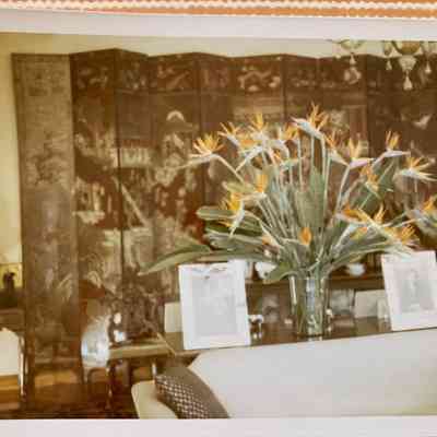 Screen in Robert Coe's home in Cannes, France c. 1970s