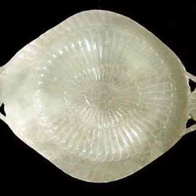 Oval jade dish