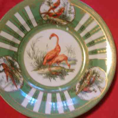 China: Partial Game Bird