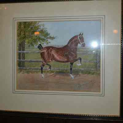 Horse print