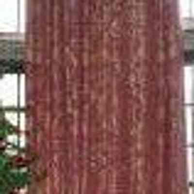 Curtain