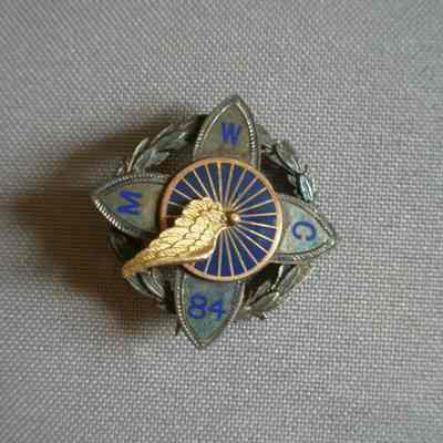 Pin