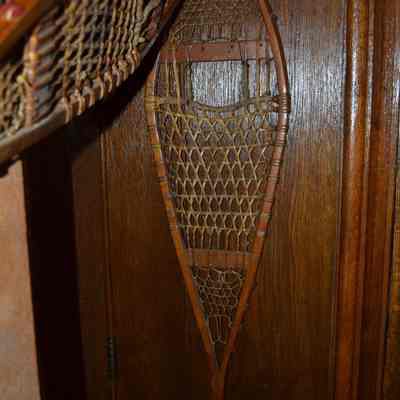 Snowshoe