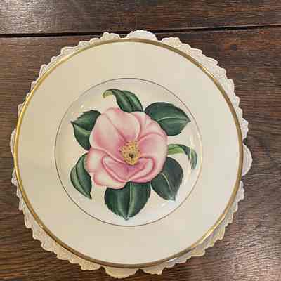 Camellia Dinner Plate