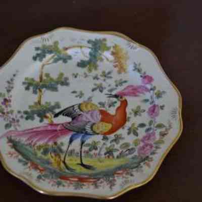 Dish