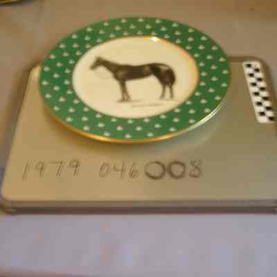Plate