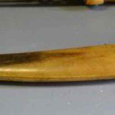 Sheath
