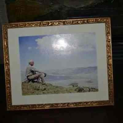 Frame, Picture