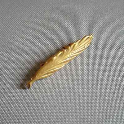 Pin