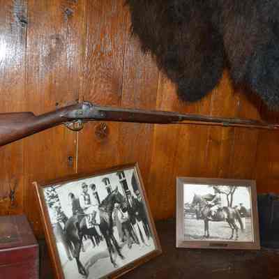 Musket