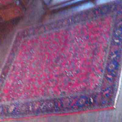 Carpet