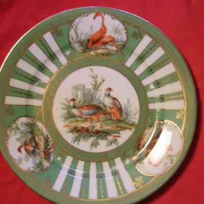 Austrian Partial Game Bird China