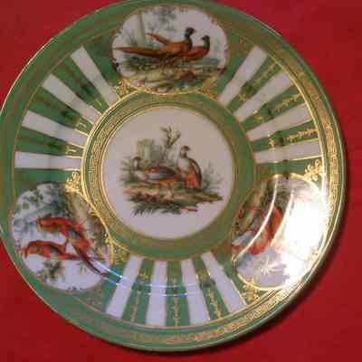 Austrian Partial Game Bird China