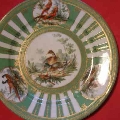 Austrian Partial Game Bird China