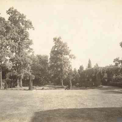 Byrne_009: Grounds of Byrne House, photographed by August Patzig