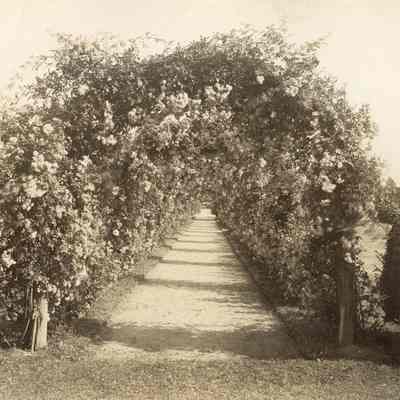 Byrne_014: Avenue of trellises with flowers, photographed by August Patzig