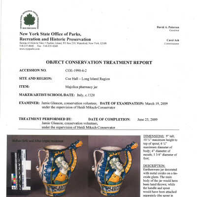 NYS treatment report (2)
