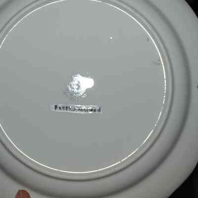 Plate