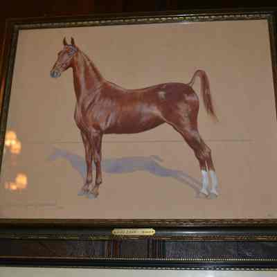 Horse Print