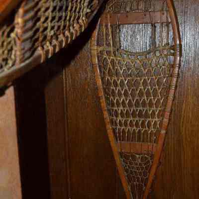 Snowshoe