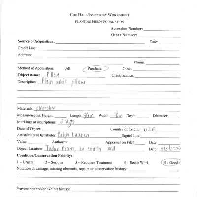 previous inventory worksheet for Tudor room pillow (1)
