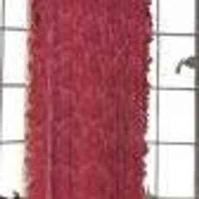 Curtain