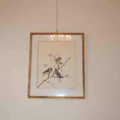Print, Birds
