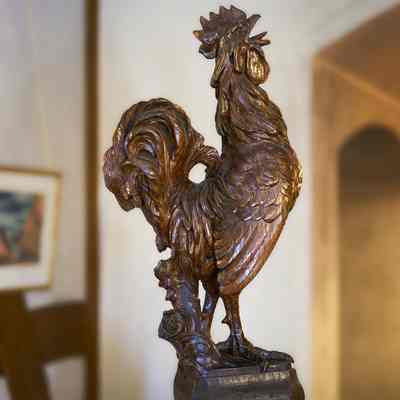 Morning Crowing Cock