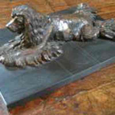 Recumbant Cocker Spaniel