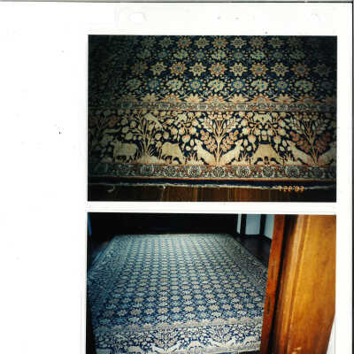 scan of rug photograph