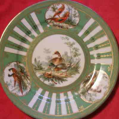 Austrian Partial Game Bird China
