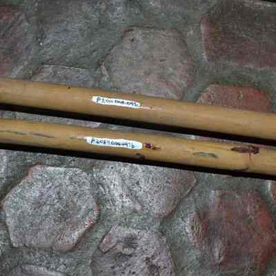 Ski pole detail